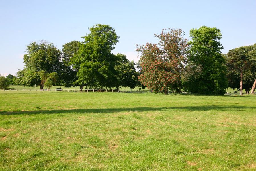 A flat field suitable for events and normally used as an overflow car park