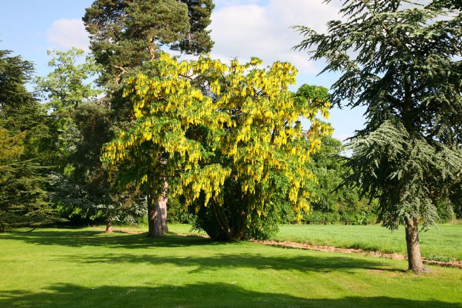 Lovely country house garden looking over a ha-ha at the surrounding countryside, within about 1 hour of Central London and easily accessible by the M4 or M40