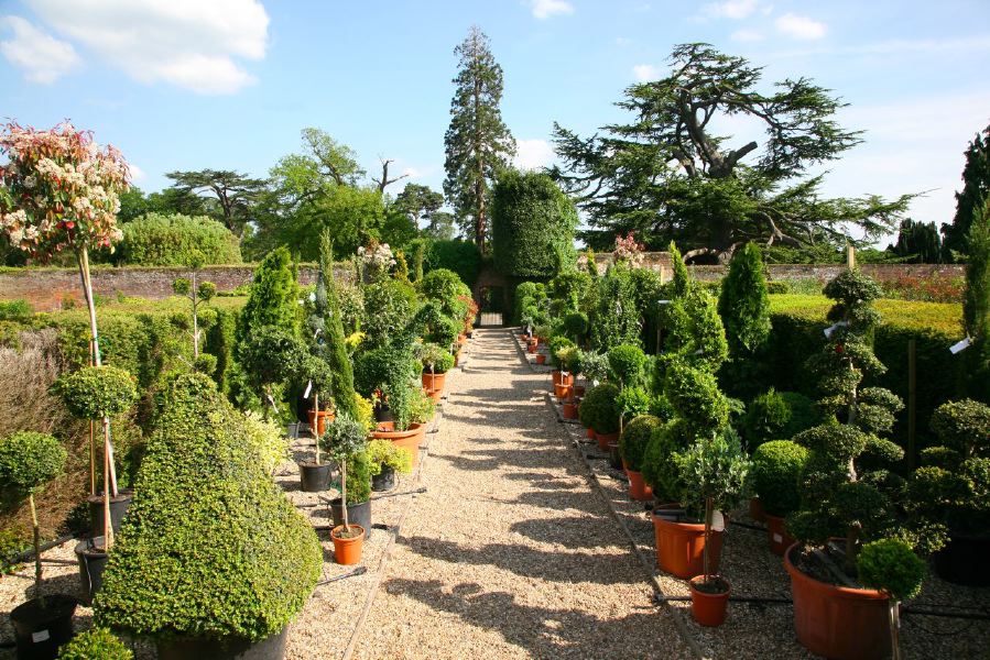 Lovely country house garden looking over a ha-ha at the surrounding countryside, within about 1 hour of Central London and easily accessible by the M4 or M40