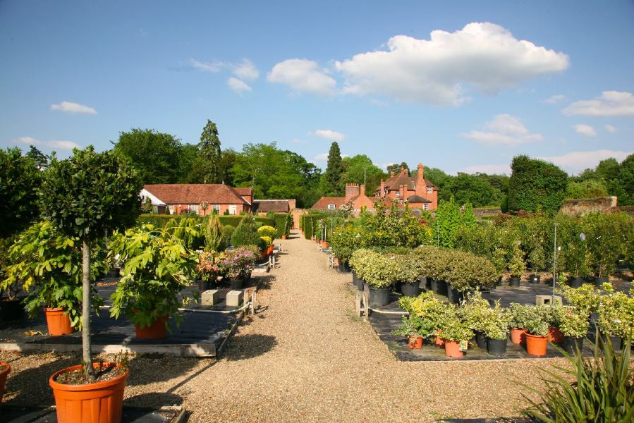 Lovely country house garden looking over a ha-ha at the surrounding countryside, within about 1 hour of Central London and easily accessible by the M4 or M40