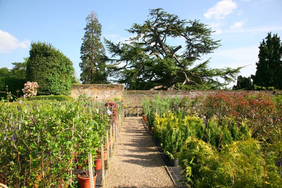 Lovely country house garden looking over a ha-ha at the surrounding countryside, within about 1 hour of Central London and easily accessible by the M4 or M40
