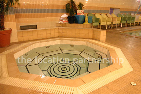 Shoot friendly swimming pool and jacuzzi on basement level.