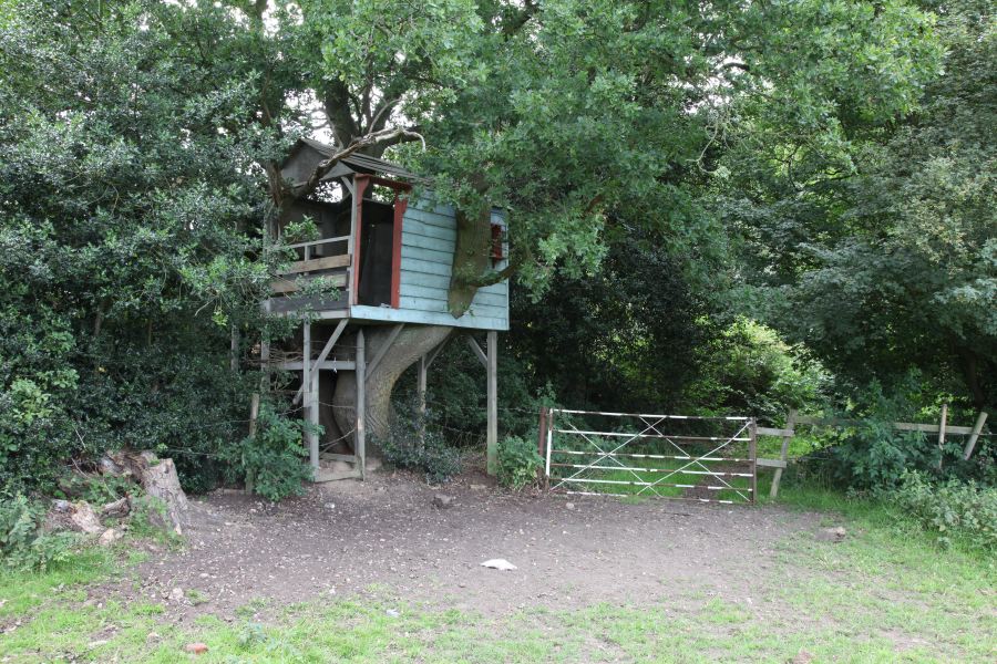 A treehouse built into the branches of an old oak