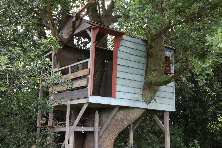 A treehouse built into the branches of an old oak