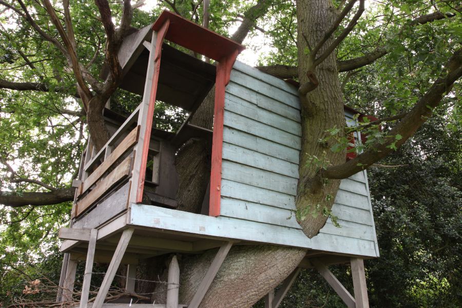 A treehouse built into the branches of an old oak