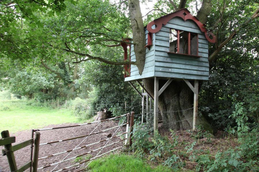 A treehouse built into the branches of an old oak