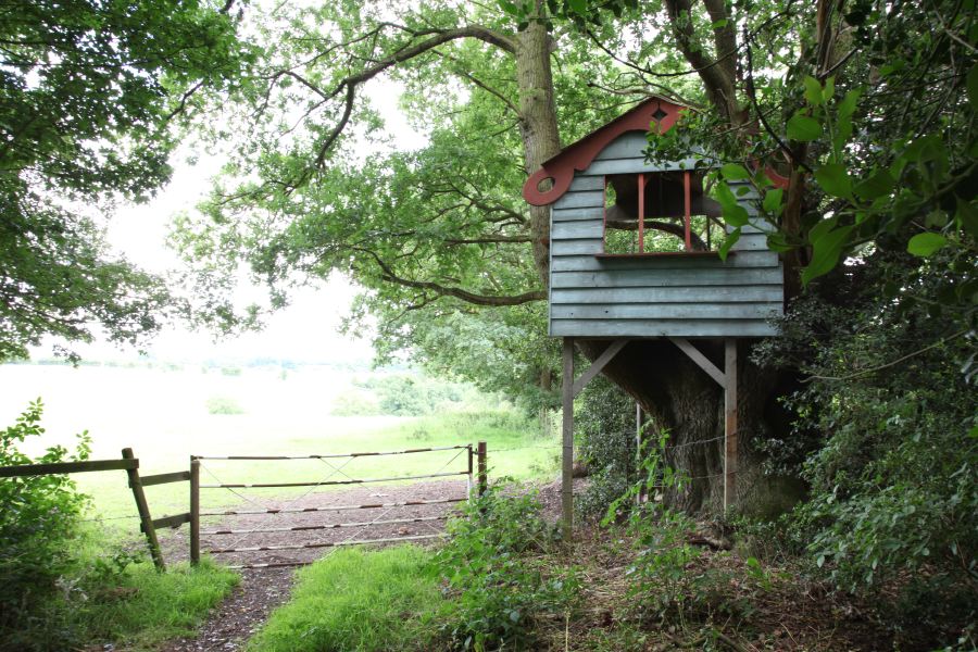 A treehouse built into the branches of an old oak