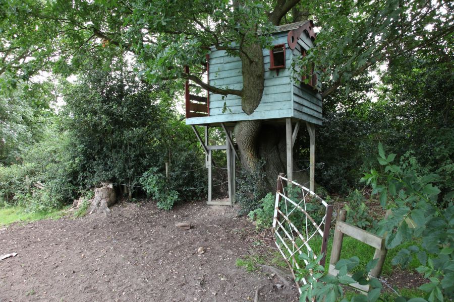 A treehouse built into the branches of an old oak