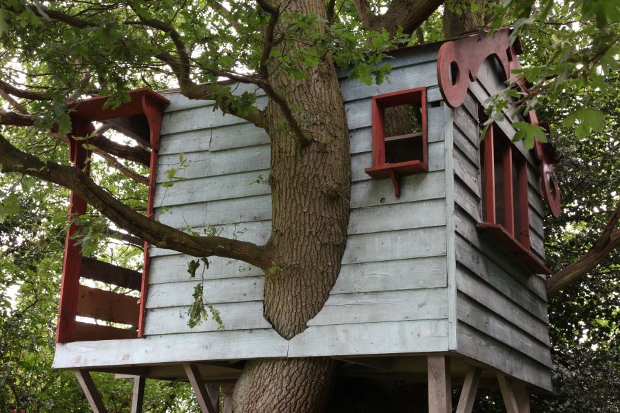 A treehouse built into the branches of an old oak
