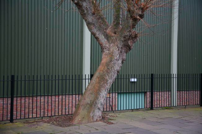 Urban tennis courts.
