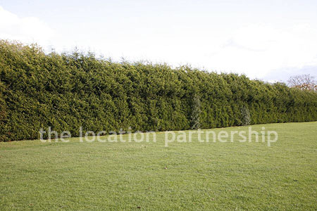 Very high and very long uniform conifer hedge. West facing with parking very close and lager area of flat grass in front of it.