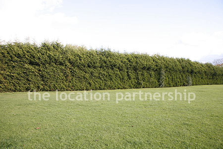 Very high and very long uniform conifer hedge. West facing with parking very close and lager area of flat grass in front of it.