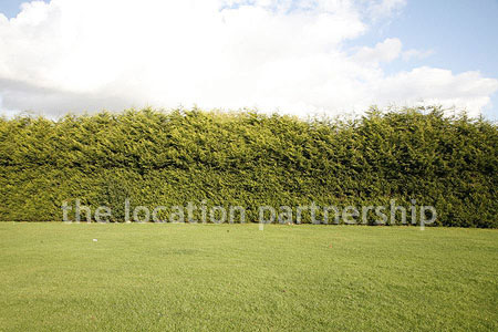 Very high and very long uniform conifer hedge. West facing with parking very close and lager area of flat grass in front of it.