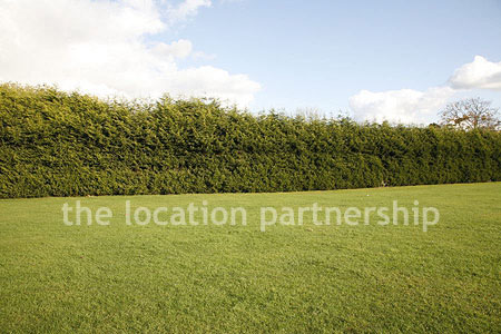 Very high and very long uniform conifer hedge. West facing with parking very close and lager area of flat grass in front of it.