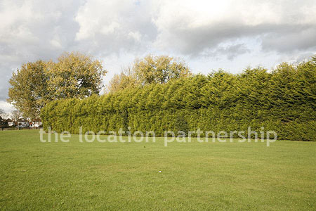 Very high and very long uniform conifer hedge. West facing with parking very close and lager area of flat grass in front of it.