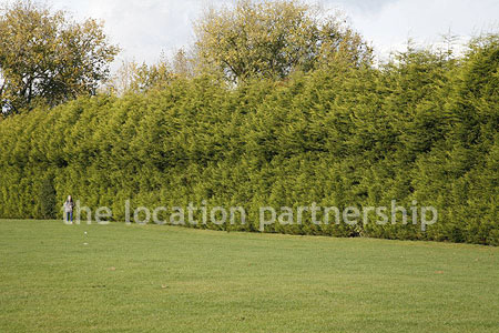 Very high and very long uniform conifer hedge. West facing with parking very close and lager area of flat grass in front of it.