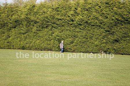 Very high and very long uniform conifer hedge. West facing with parking very close and lager area of flat grass in front of it.