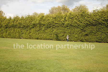 Very high and very long uniform conifer hedge. West facing with parking very close and lager area of flat grass in front of it.