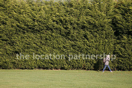 Very high and very long uniform conifer hedge. West facing with parking very close and lager area of flat grass in front of it.