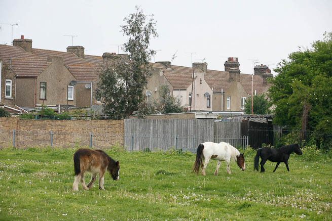 Football pitch on large recreation ground with great urban backdrop.