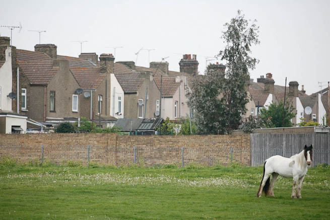Football pitch on large recreation ground with great urban backdrop.