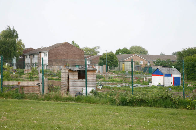 Large open recreation ground with great urban backdrops
