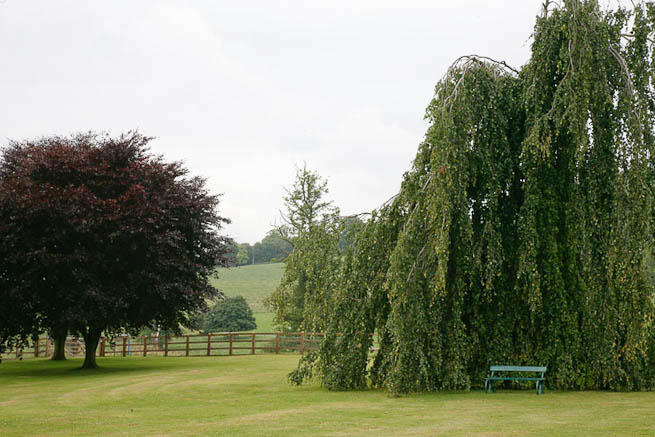 Large grounds on historic country estate, parts of which date back to mid-sixteenth century. NOTE: Noise from nearby main road