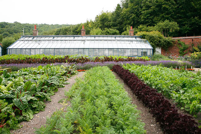 Walled garden in a historic country estate. NOTE: Noise from nearby main road.