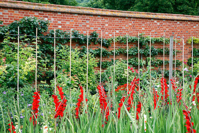 Walled garden in a historic country estate. NOTE: Noise from nearby main road.