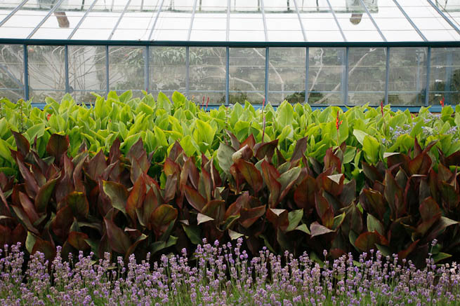 Walled garden in a historic country estate. NOTE: Noise from nearby main road.