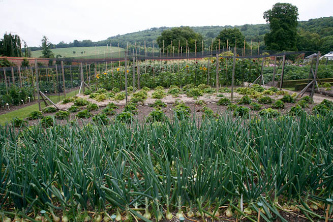 Walled garden in a historic country estate. NOTE: Noise from nearby main road.
