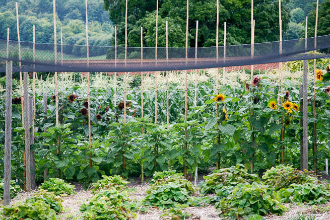Walled garden in a historic country estate. NOTE: Noise from nearby main road.