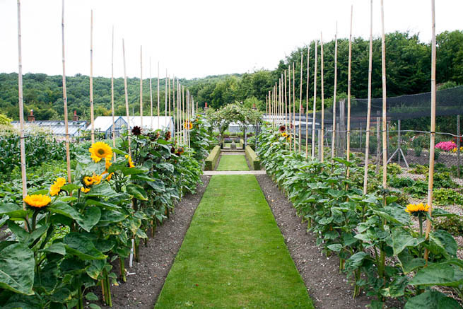 Walled garden in a historic country estate. NOTE: Noise from nearby main road.