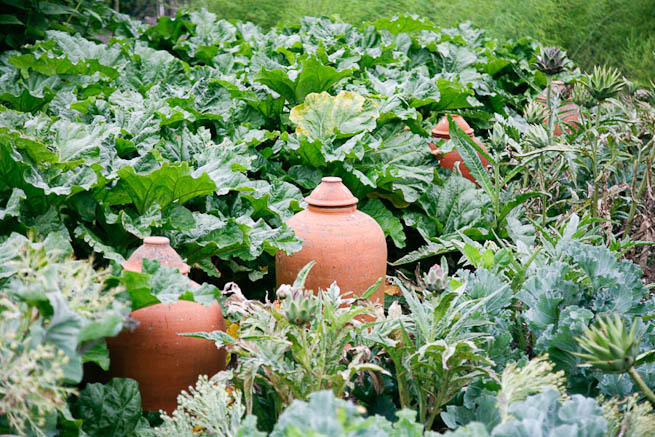 Walled garden in a historic country estate. NOTE: Noise from nearby main road.