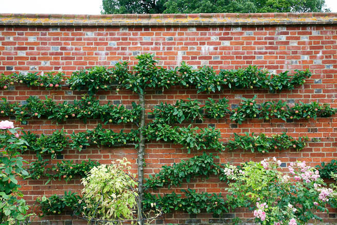 Walled garden in a historic country estate. NOTE: Noise from nearby main road.