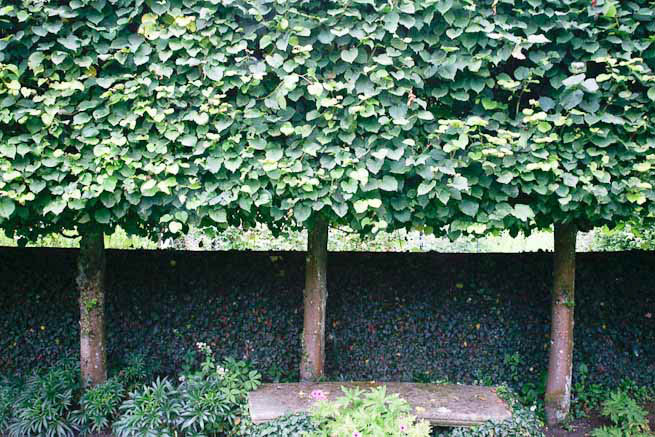 Gardens of a Tudor Manor house divided into compartments with different colour themes and structural forms.