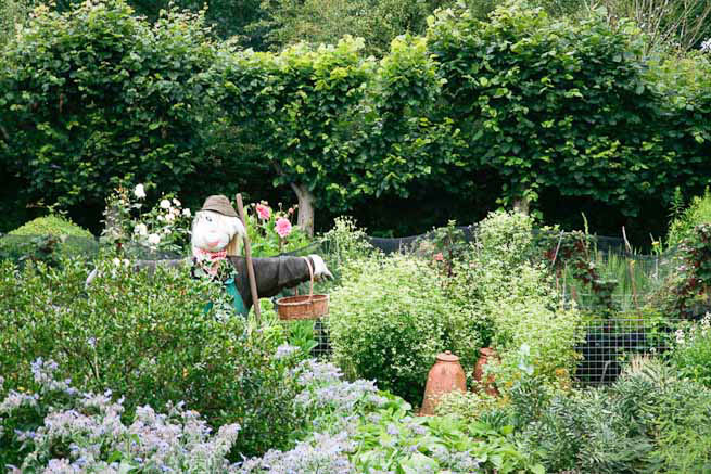 Gardens of a Tudor Manor house divided into compartments with different colour themes and structural forms.