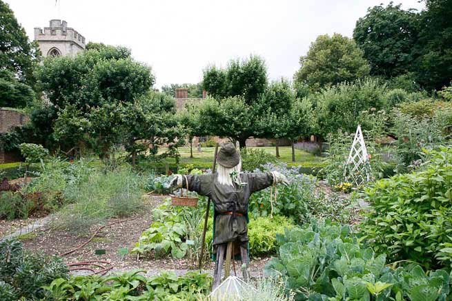 Gardens of a Tudor Manor house divided into compartments with different colour themes and structural forms.